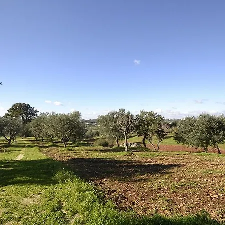 Sleeps 2 Pool Air Con Wifi Cisternino